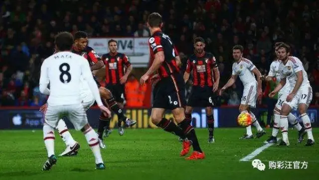 SaaS面板选择标准